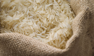 قیمت برنج ایرانی در بازار شمال
