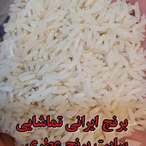 برنج ایرانی تماشایی شیرودی