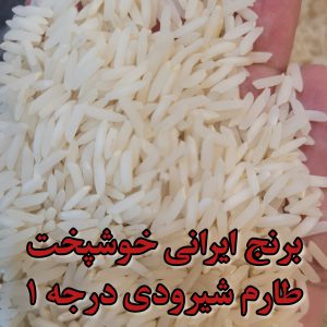 برنج ایرانی خوشپخت طارم شیرودی